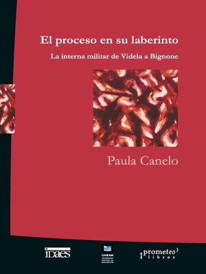 cover image of El proceso en su laberinto